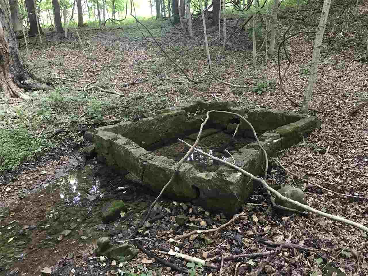 4055 Cemetery Road Scottsville, KY 42164 - Photo 6 of 15 Gallery Image 6
