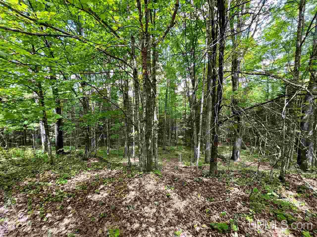 430 Baumgartner Road Iron River, MI 49935 - Photo 18 of 23 Gallery Image 18