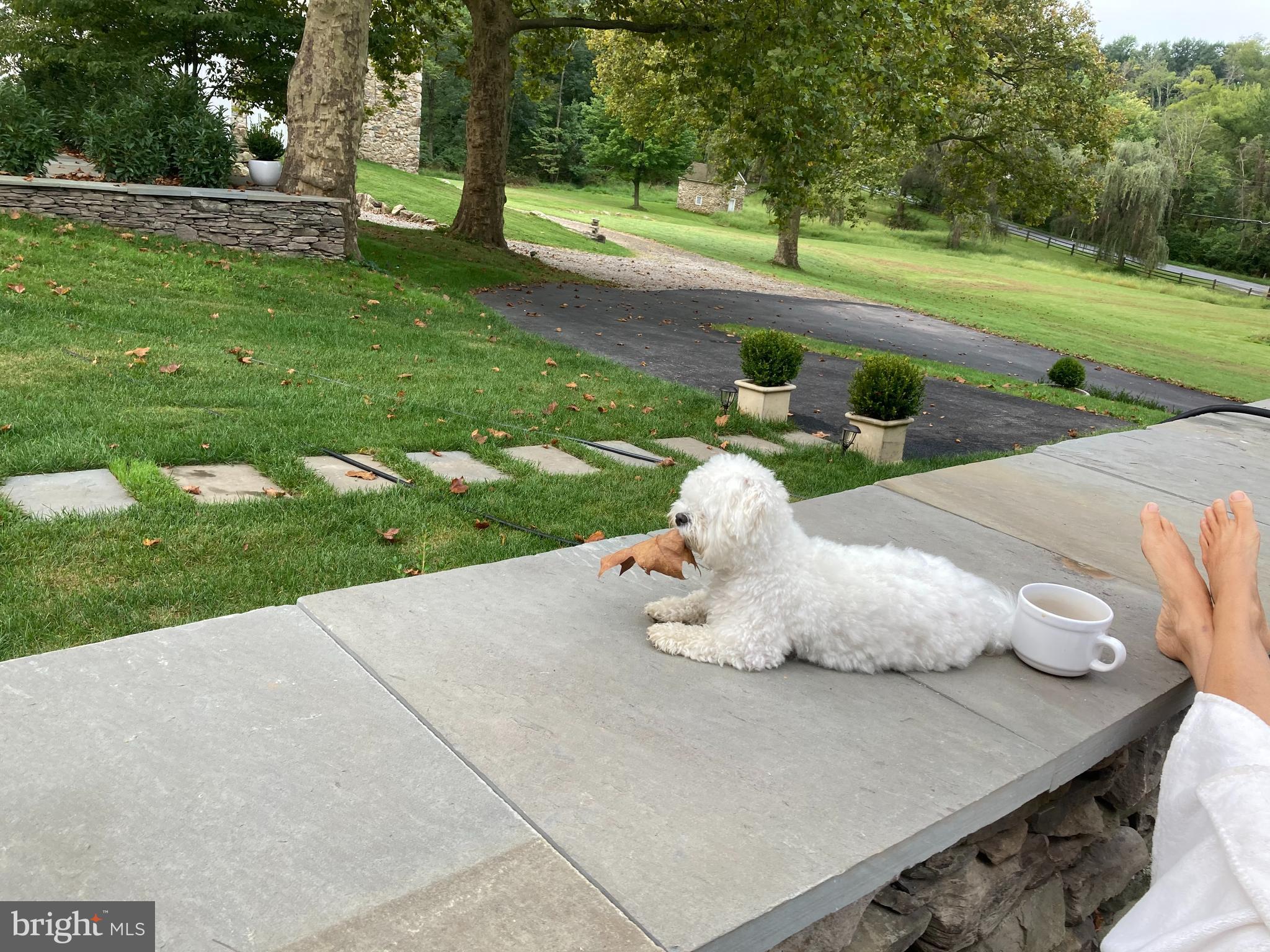 465 Clothier Springs Road Malvern, PA 19355 - Photo 9 of 76 resting pose