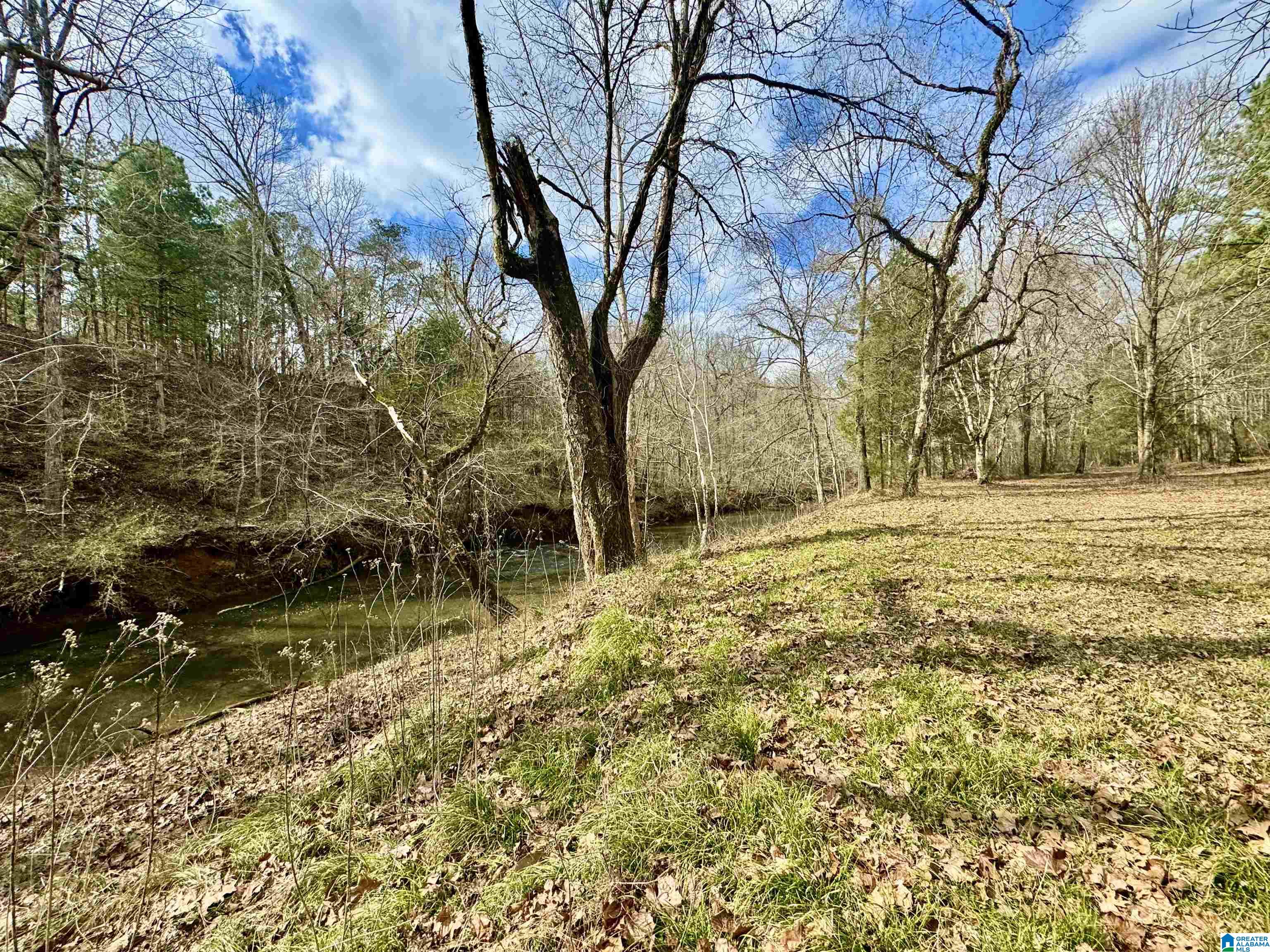 576 Gunlock Street Montevallo, AL 35115 - Photo 46 of 76