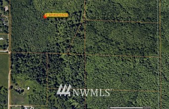 299000 Cedar Ponds Road Monroe, WA 98272 - Photo 4 of 5 a view of a forest