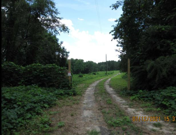 56 Stumphole Road Elloree, SC 29047 - Photo 9 of 10