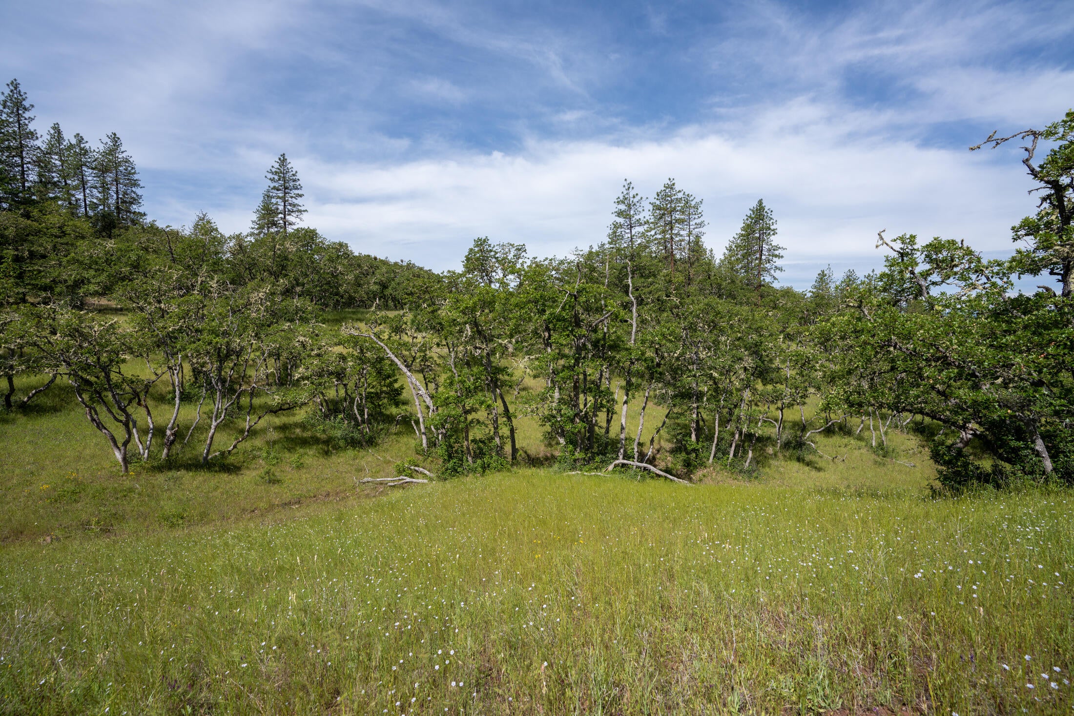 Wren Ridge Drive Eagle Point, OR 97524 - Photo 3 of 8 Pic 3