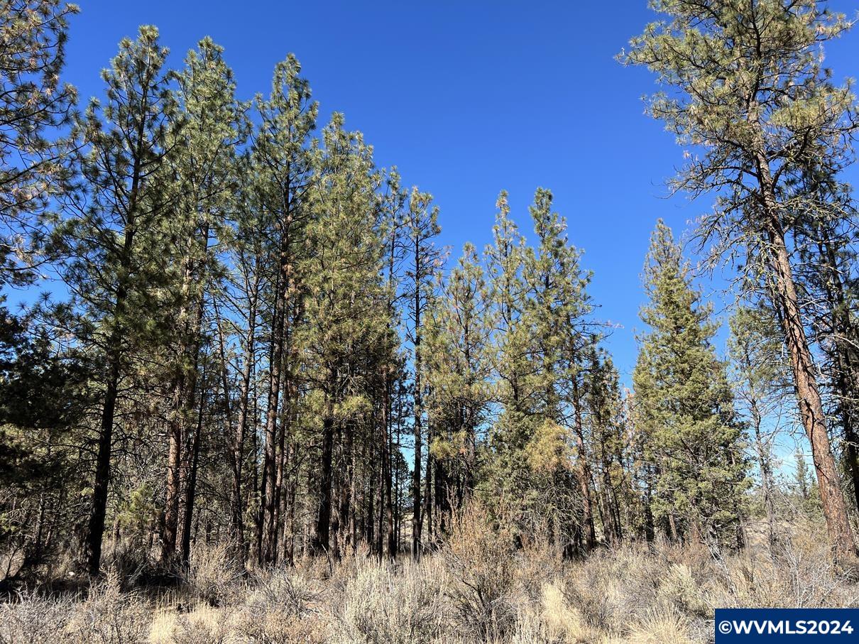 600 Oregon Pines Road Chiloquin, OR 97624 - Photo 17 of 49