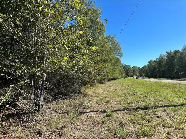 a big yard with lots of bushes