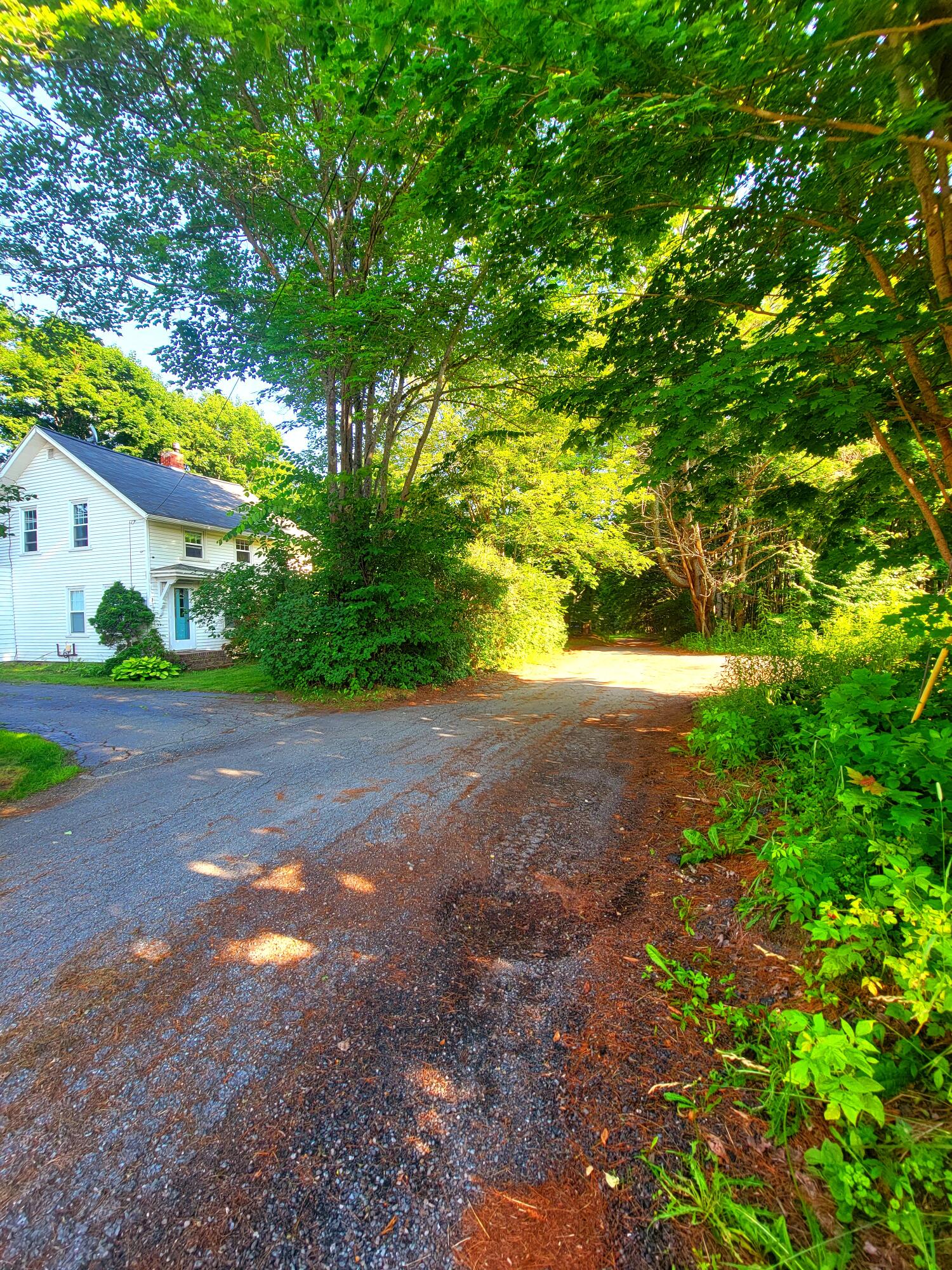 12 Riverview Street Bangor, ME 04401 - Photo 51 of 52 Dead End Road view