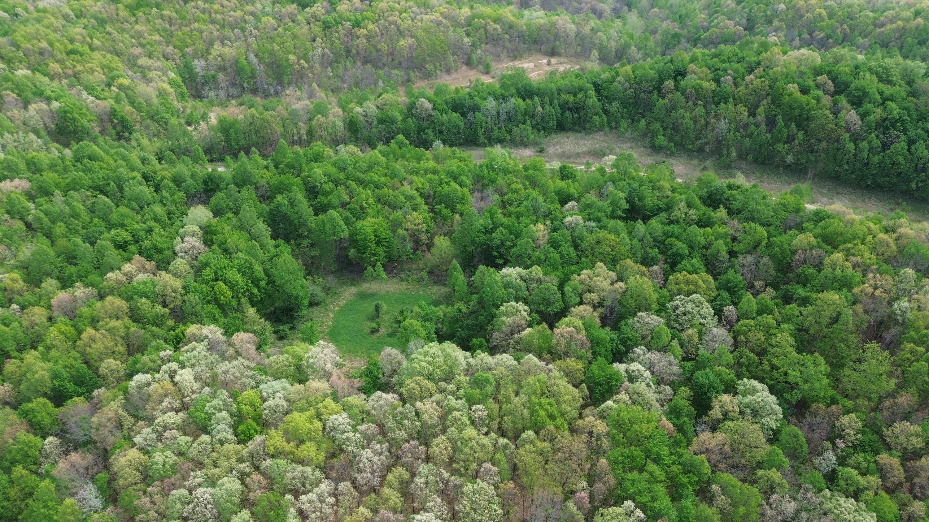 1271 A Tunnel Ridge Road Grayson, KY 41143 - Photo 94 of 134 Trees