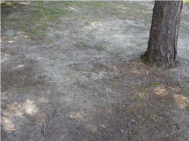 312 John King Road Crestview, FL 32539 - Photo 28 of 31 Additional Photo
