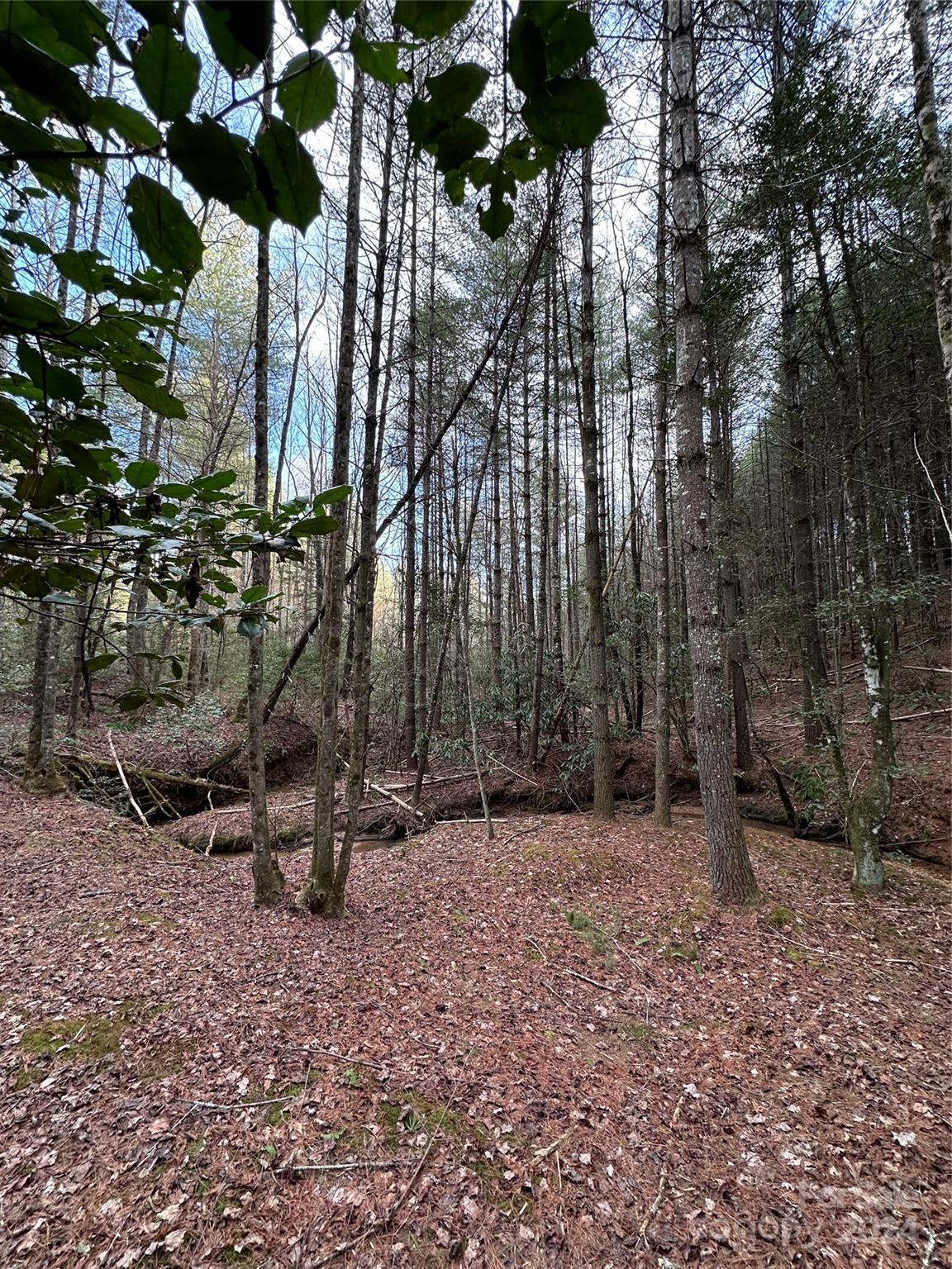 0 Collette Ridge Circle, Unit 171 Collettsville, NC 28611 - Photo 11 of 17