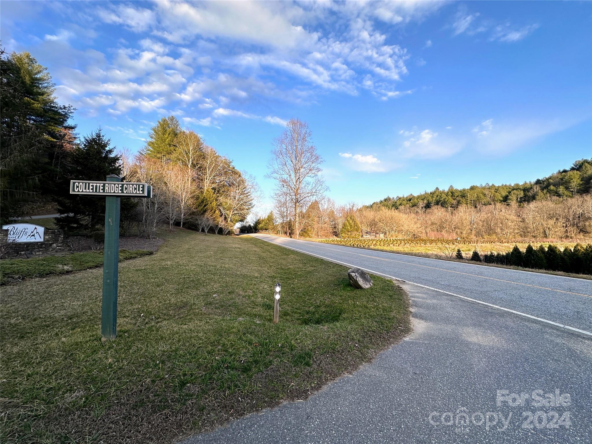 0 Collette Ridge Circle, Unit 171 Collettsville, NC 28611 - Photo 13 of 17