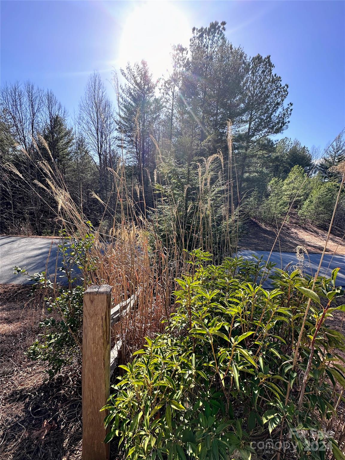 0 Collette Ridge Circle, Unit 171 Collettsville, NC 28611 - Photo 7 of 17