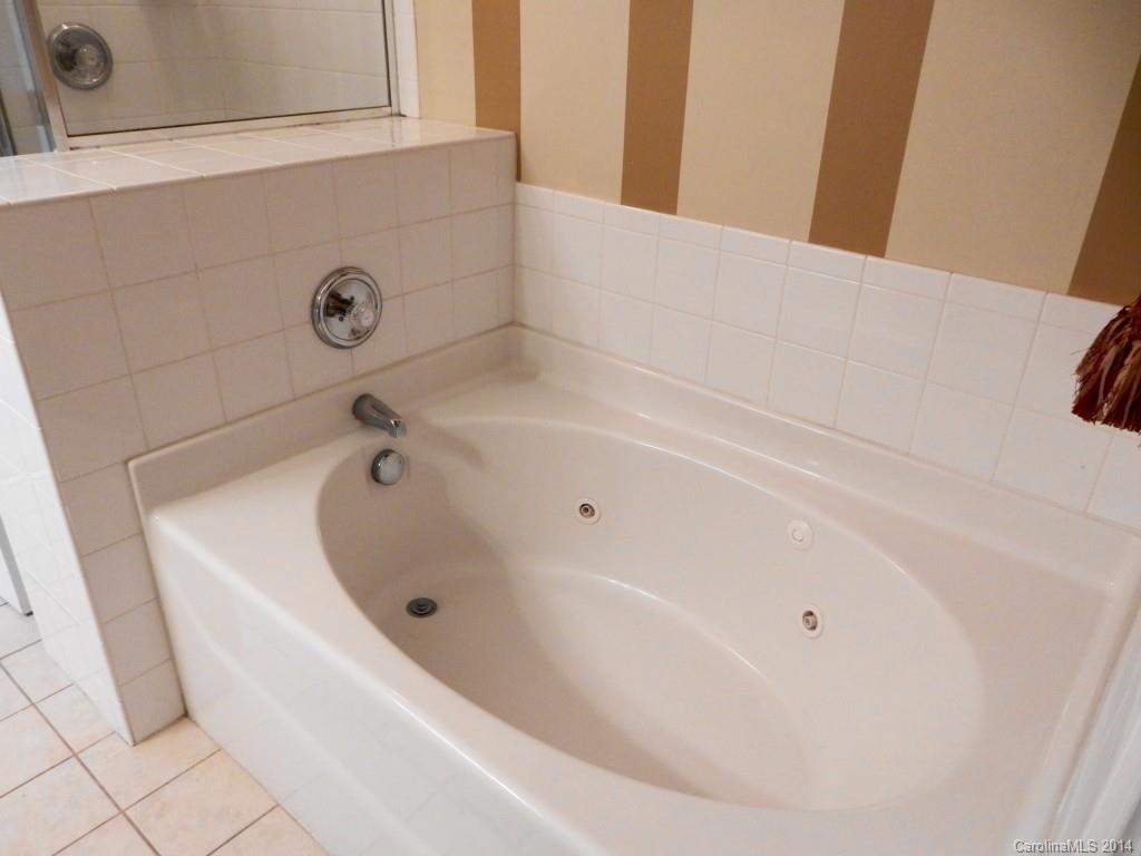 3941 Caliper Place, Unit 336 Fort Mill, SC 29708 - Photo 14 of 22