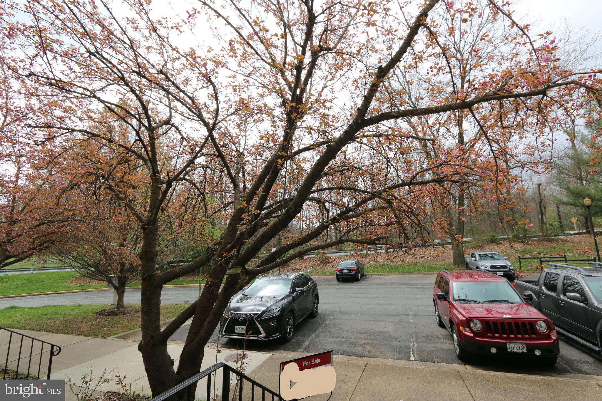 2476 Ridgehampton Court Reston, VA 20191 - Photo 47 of 60