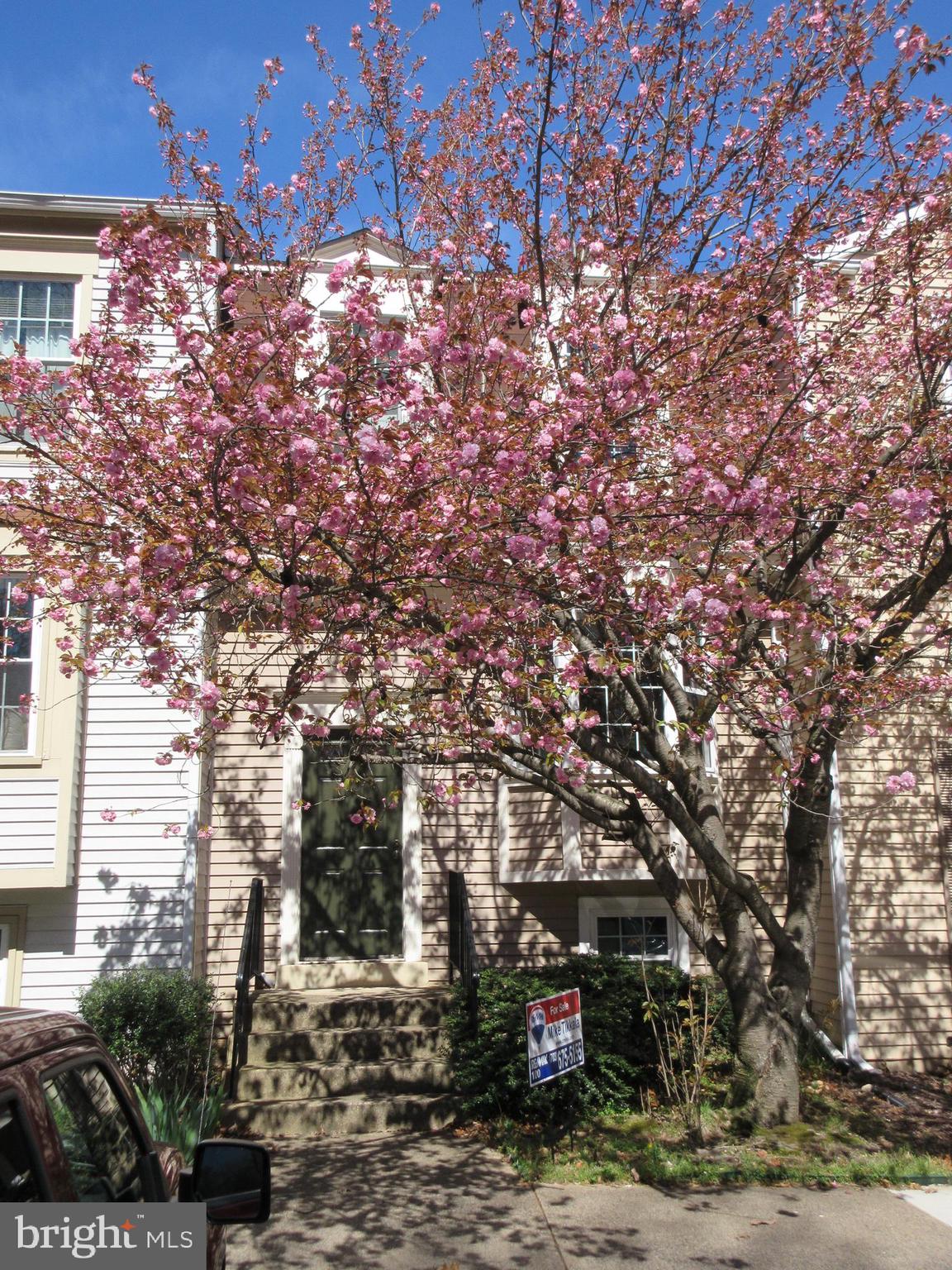 2476 Ridgehampton Court Reston, VA 20191 - Photo 49 of 60