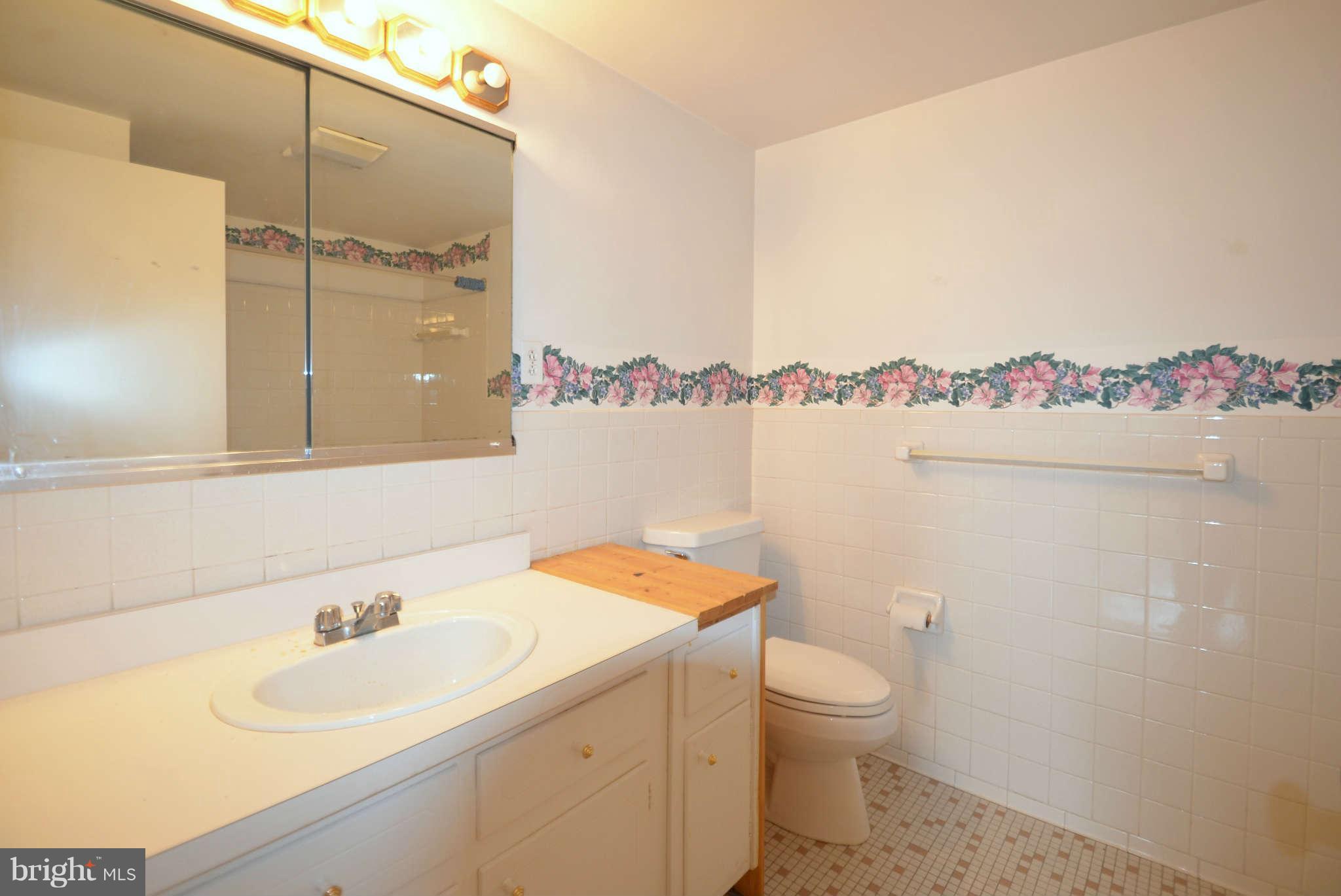 310 Ridgemede Road, Unit 206 Baltimore, MD 21210 - Photo 15 of 17 a bathroom with a sink a toilet and a mirror