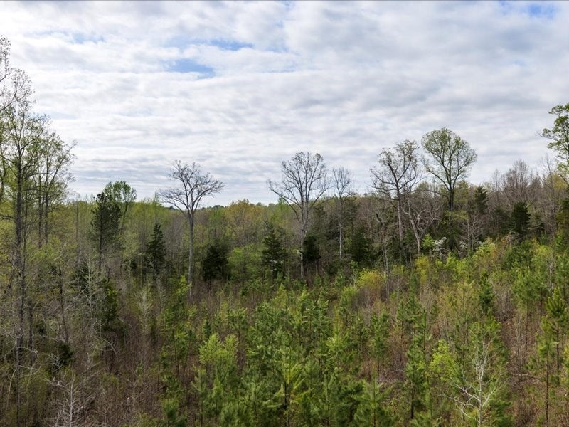 Cutbanks Road Pamplin, VA 23958 - Photo 28 of 44 Gallery Image 28