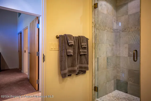a bathroom with a shower and a sink