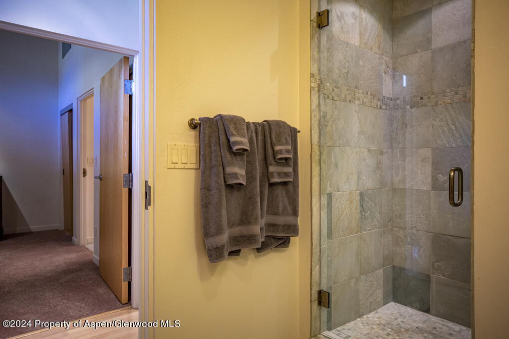 231 Robinson Street, Unit 330 Basalt, CO 81621 - Photo 24 of 45 a bathroom with a shower and a sink