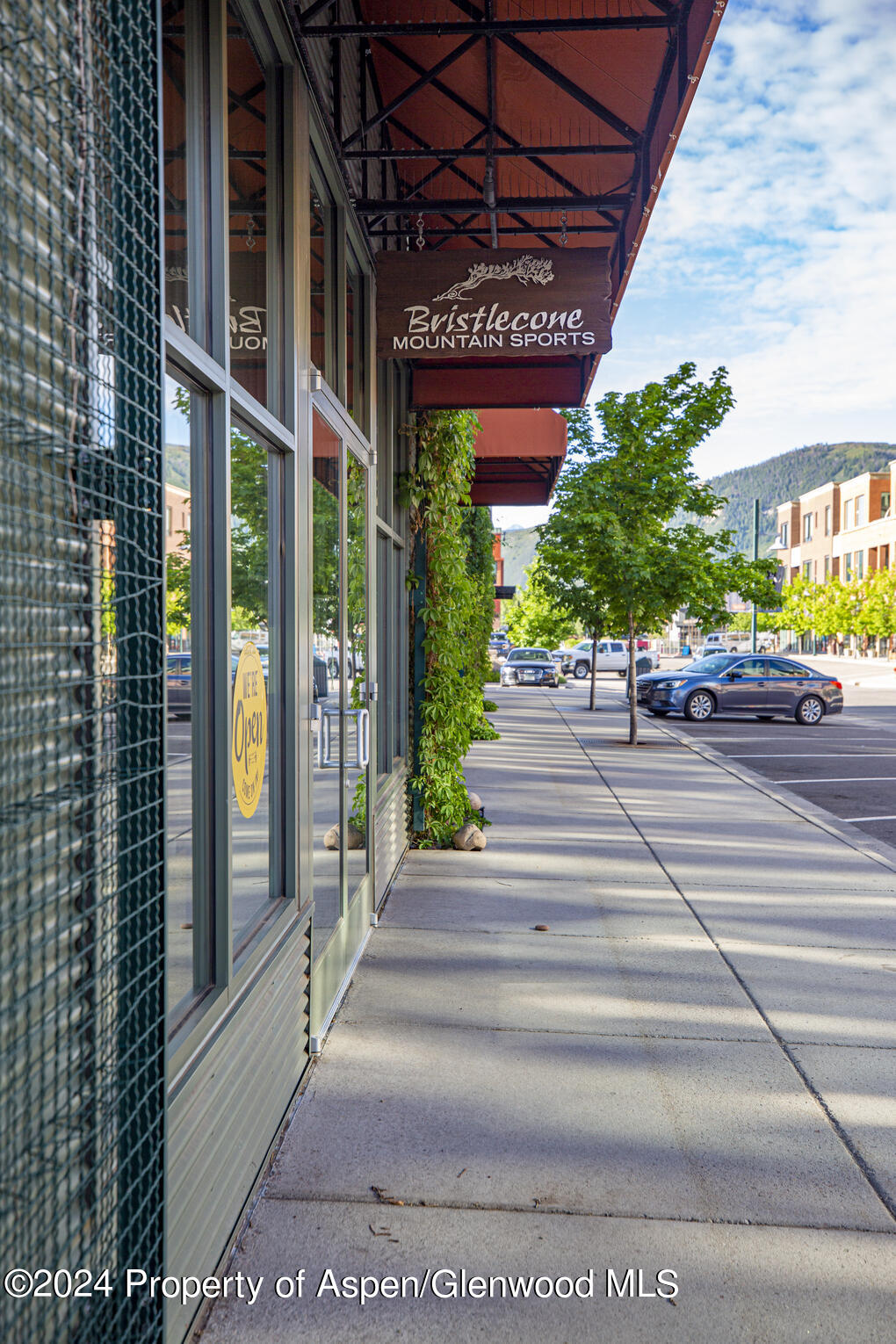 231 Robinson Street, Unit 330 Basalt, CO 81621 - Photo 33 of 45 a view of a entryway door of the building