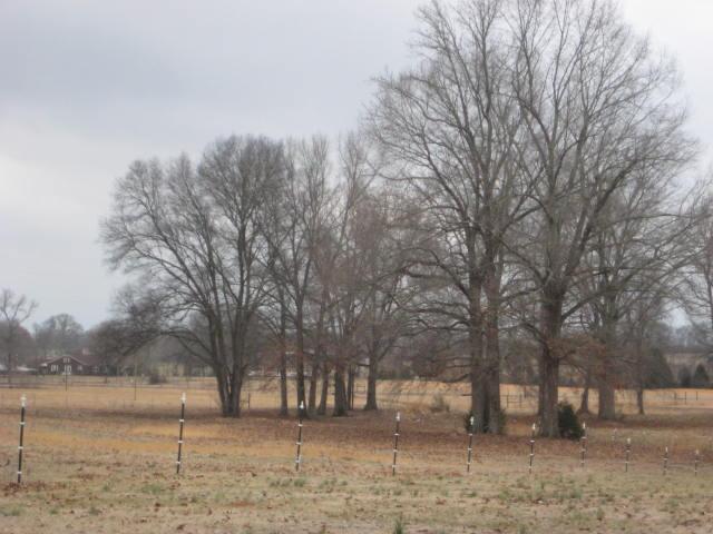 173 Bellview Road Fayetteville, TN 37334 - Photo 17 of 20 Pasture with Electric Fence