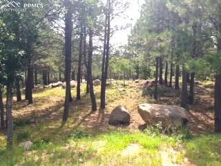 $500,000 | 667 Silver Oak Grove, Colorado Springs, CO 80906