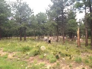 $500,000 | 667 Silver Oak Grove, Colorado Springs, CO 80906