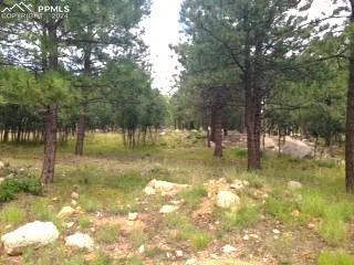 $500,000 | 667 Silver Oak Grove, Colorado Springs, CO 80906