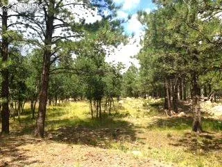 $500,000 | 667 Silver Oak Grove, Colorado Springs, CO 80906