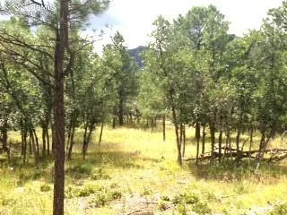 $500,000 | 667 Silver Oak Grove, Colorado Springs, CO 80906