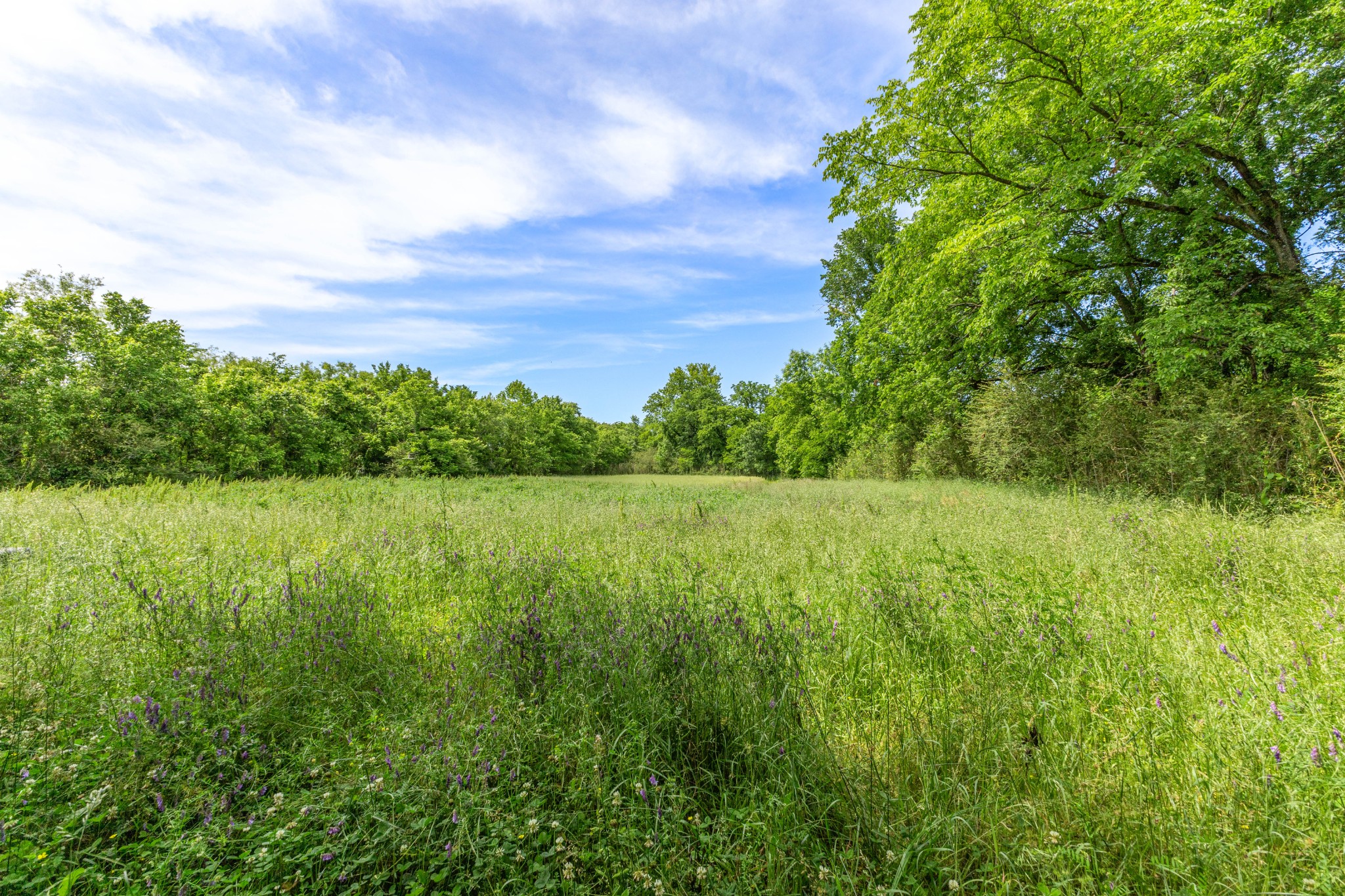 1 Neptune Road Ashland City, TN 37015 - Photo 9 of 34 Gallery Image 9