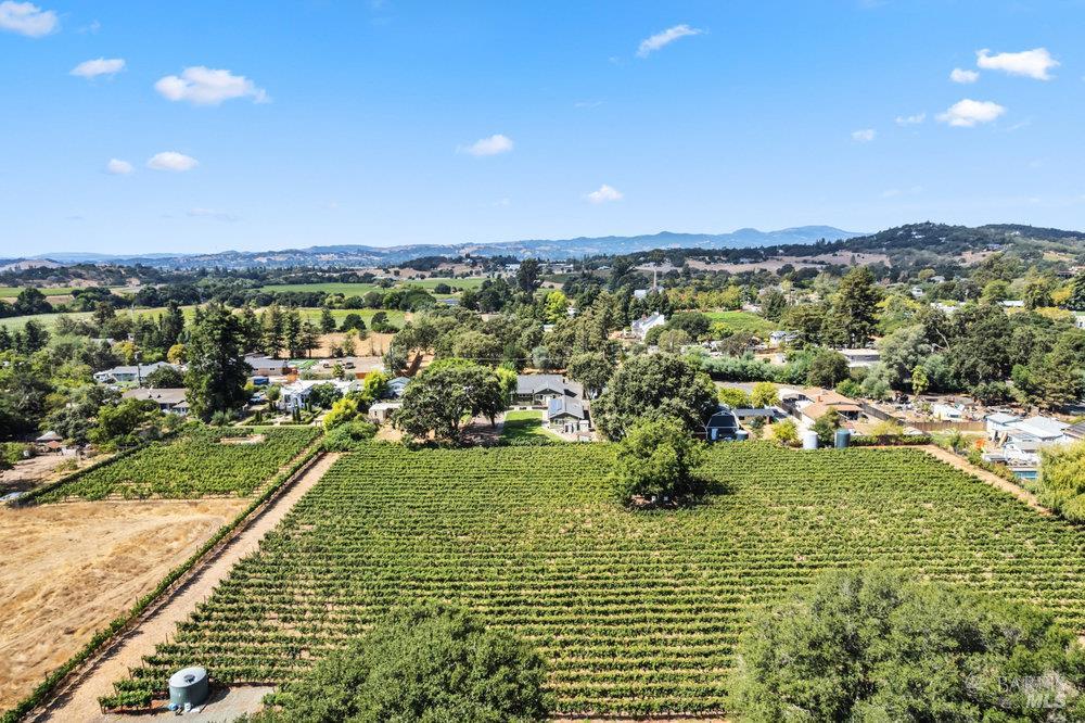 1022 Berry Lane Napa, CA 94558 - Photo 44 of 61