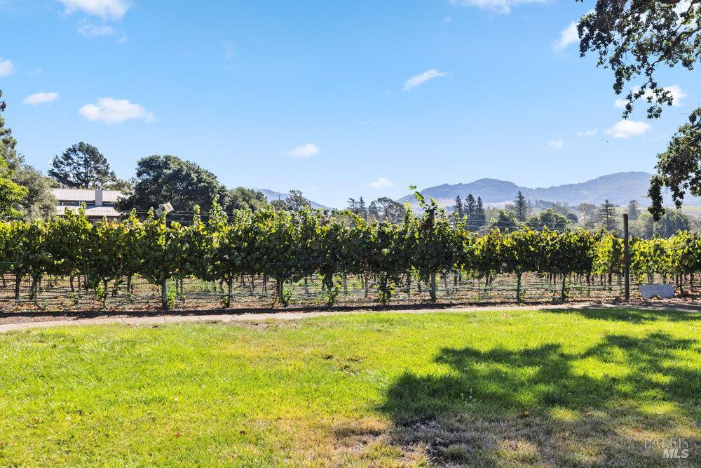 1022 Berry Lane Napa, CA 94558 - Photo 45 of 61
