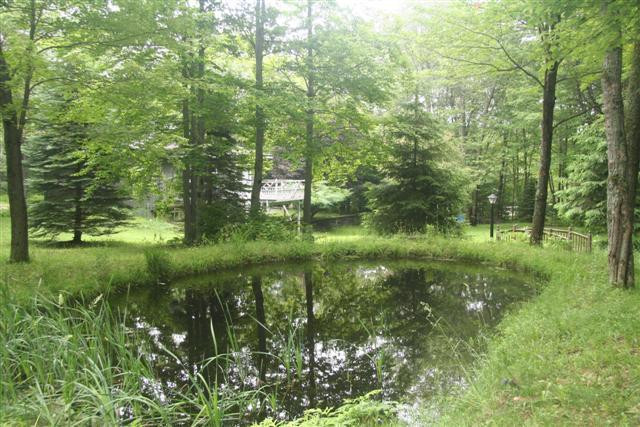 Poplar Road Pleasant Mount, PA 18453 - Photo 14 of 15