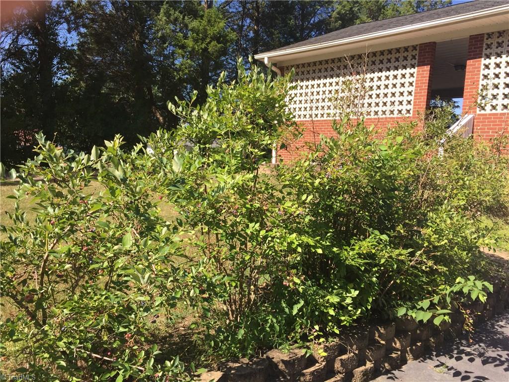 167 Reese Street High Point, NC 27265 - Photo 4 of 18 Gallery Image 4