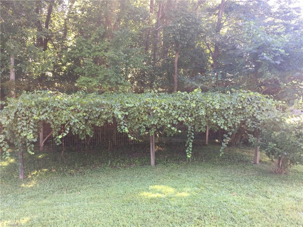 167 Reese Street High Point, NC 27265 - Photo 5 of 18 Gallery Image 5