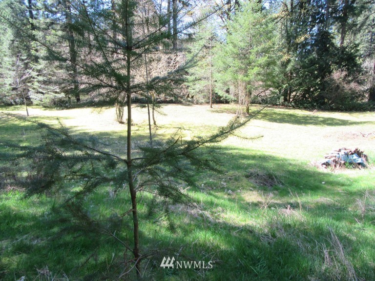268 South Hawkins Road Winlock, WA 98596 - Photo 6 of 9