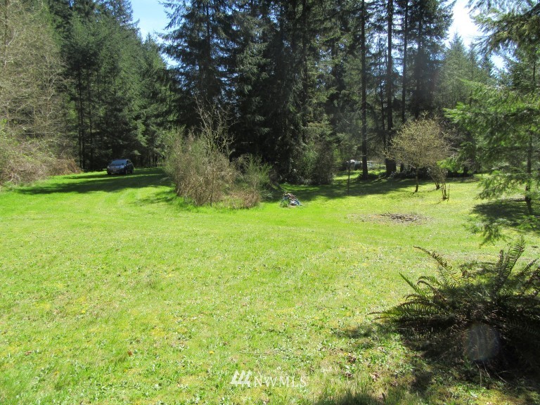 268 South Hawkins Road Winlock, WA 98596 - Photo 7 of 9