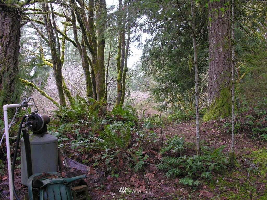 268 South Hawkins Road Winlock, WA 98596 - Photo 8 of 9