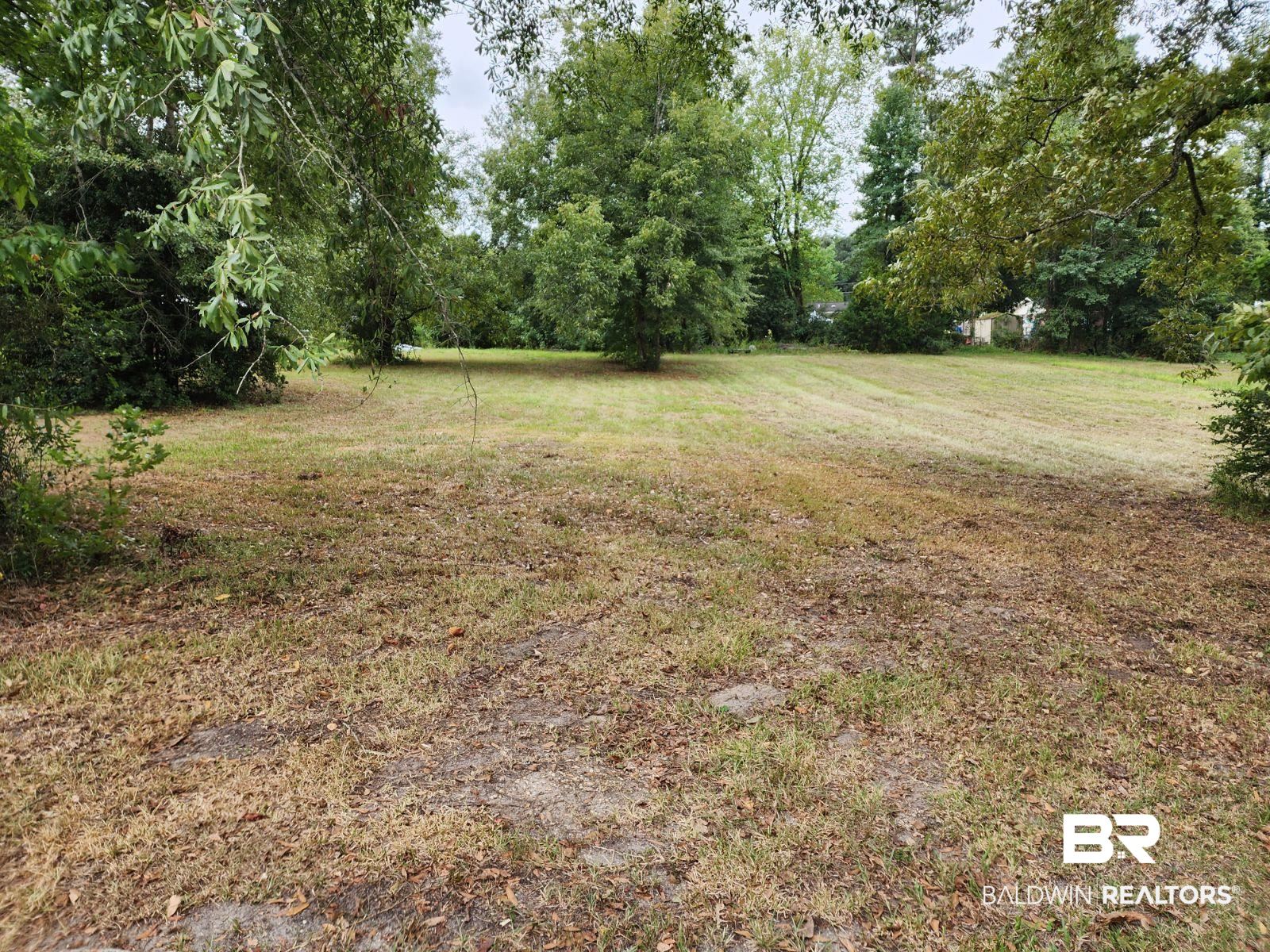 307 Scott Street Brewton, AL 36426 - Photo 14 of 19 View of yard