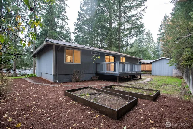 a view of a park with large trees