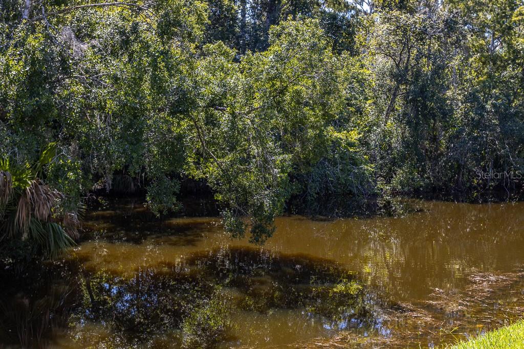 100 Ingrid Place Oldsmar, FL 34677 - Photo 31 of 51 a view of a lake with houses