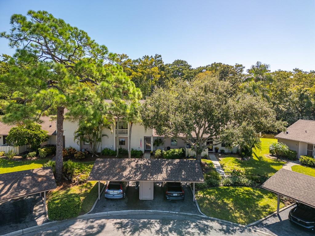 100 Ingrid Place Oldsmar, FL 34677 - Photo 38 of 51 a view of a couches in a patio