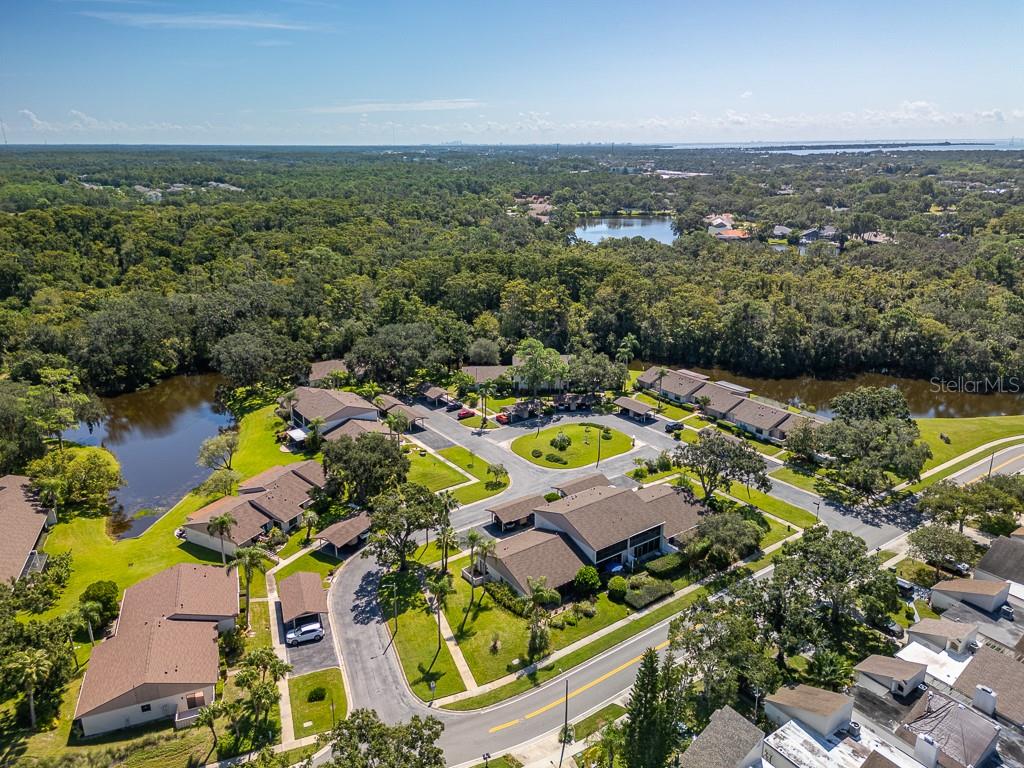 100 Ingrid Place Oldsmar, FL 34677 - Photo 40 of 51 an aerial view of residential houses with outdoor space