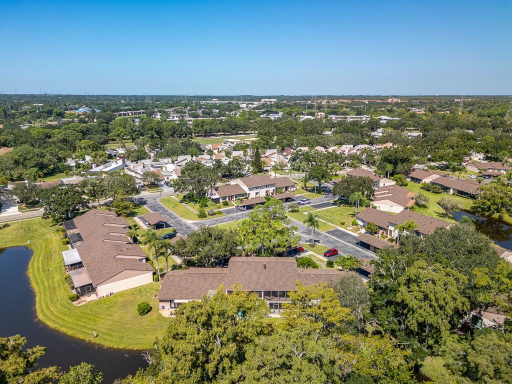 100 Ingrid Place Oldsmar, FL 34677 - Photo 41 of 51 an aerial view of residential house with outdoor space and trees