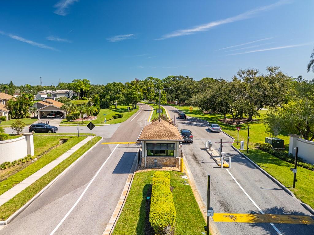 100 Ingrid Place Oldsmar, FL 34677 - Photo 42 of 51 a view of swimming pool with a garden