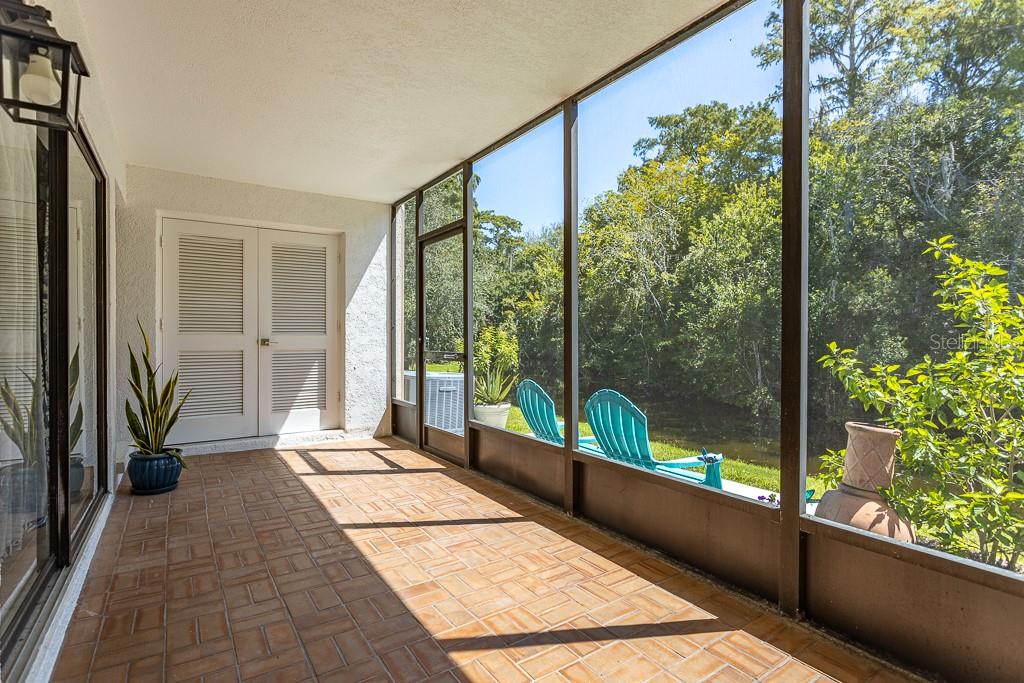 100 Ingrid Place Oldsmar, FL 34677 - Photo 8 of 51 a view of a large trees with flower in front of a house
