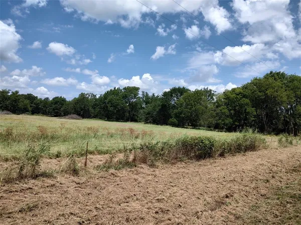 a view of a field with a tree in it