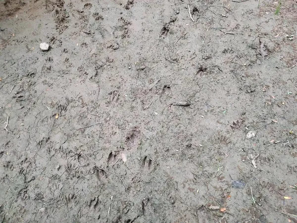 a close up of a white marble wall