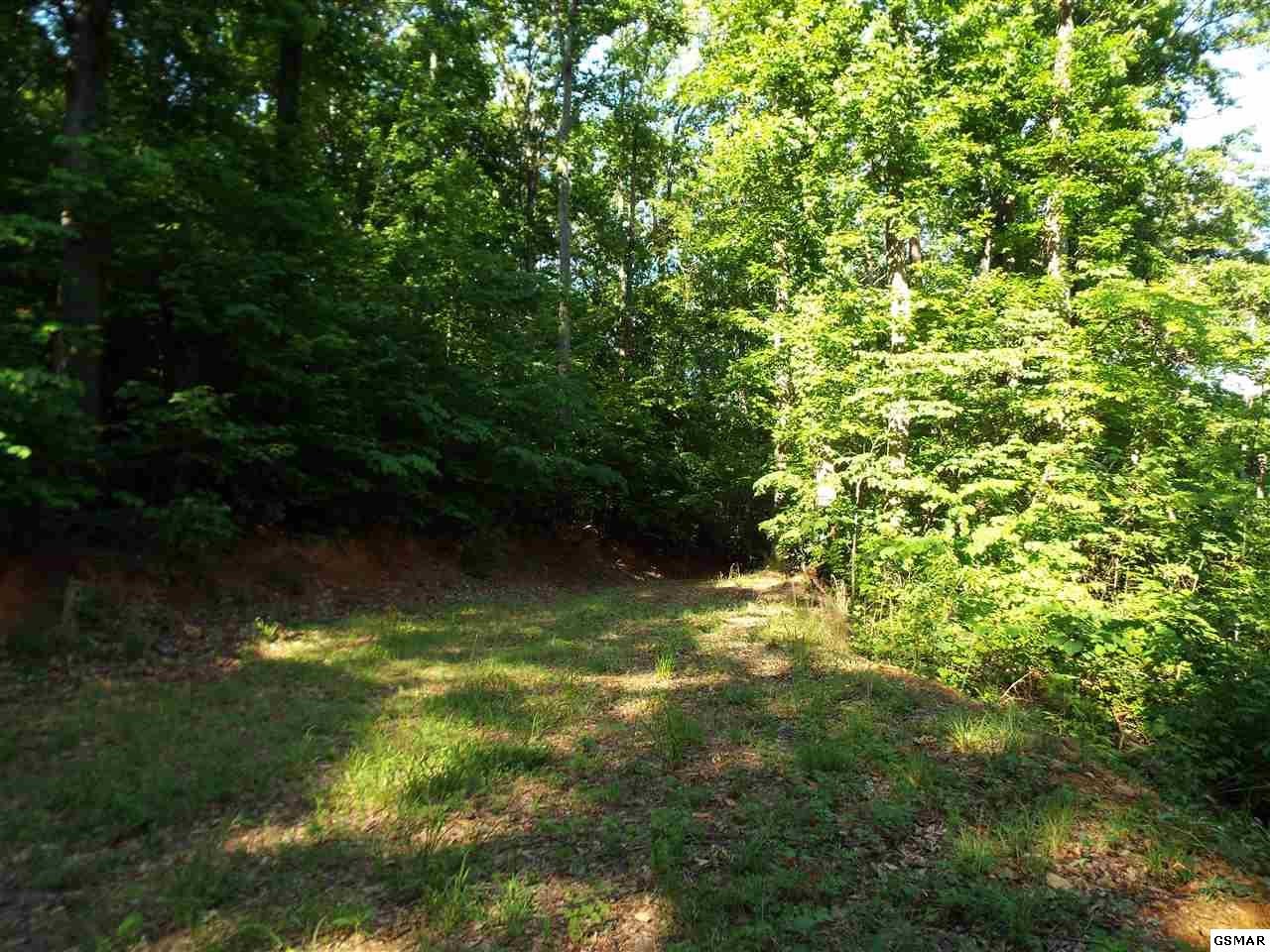0 Greasy Cove Road Cosby, TN 37722 - Photo 18 of 26 Gallery Image 18
