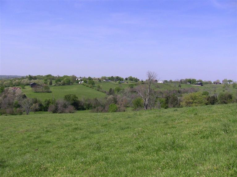 320 Cox-Howard Road Versailles, KY 40383 - Photo 8 of 12 Photo 8